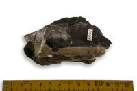 F 07358
<br/>
<br/>
<em></em>